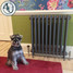 CI-RK760-10-133246-CG00 - Rook 2 Column Victorian Cast Iron Radiator H760mm x W1582mm CI-RK760-10-133246-CG00 - Rook 2 Column Victorian Cast Iron Radiator H760mm x W1582mm